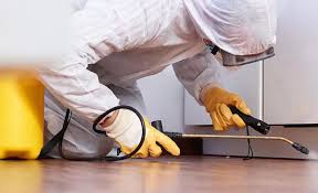 Best Real Estate Pest Inspections  in New Mford, IL